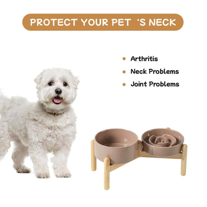 Ceramic Slow Feeder Bowl for Dogs & Cats