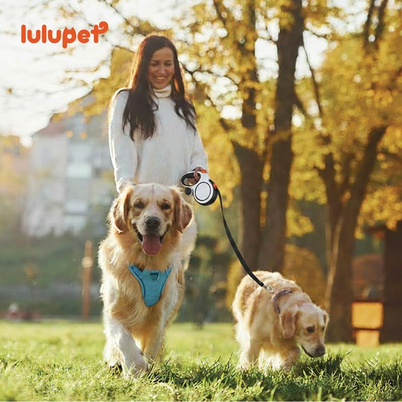 Reflective No Pull Dog Harness & Leash Set