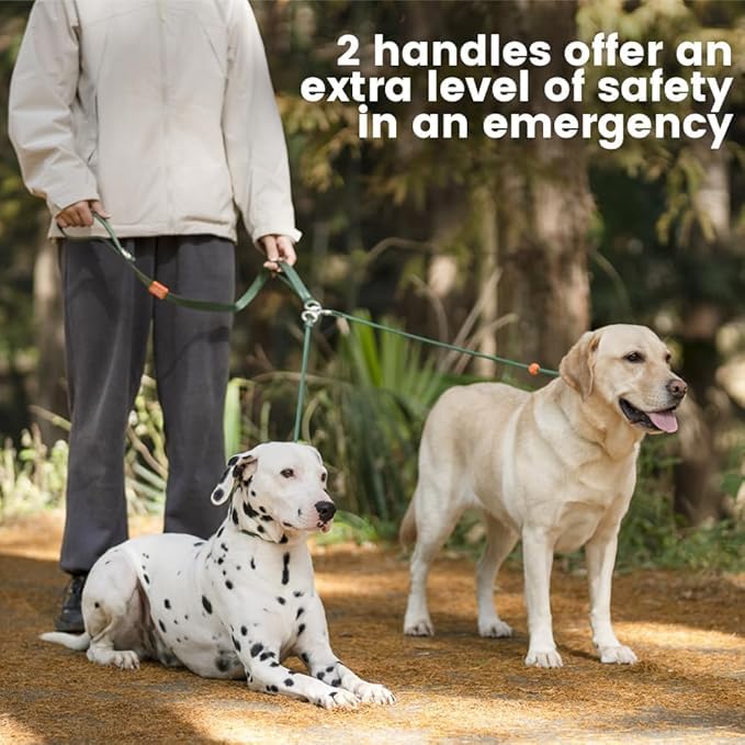 Slip Lead Dog Leash with Tangle Free Swivel Design