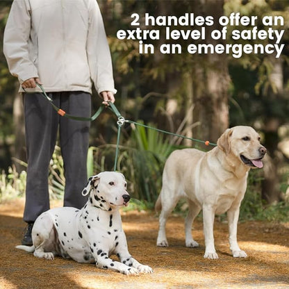 Slip Lead Dog Leash with Tangle Free Swivel Design