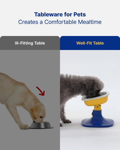 Well Fit Bowl Series for Cats & Small Dogs