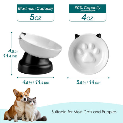 Elevated Ceramic Slow Feeder Bowl for Cats & Small Dogs