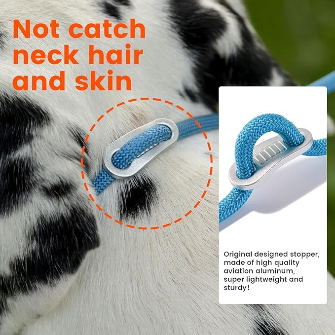 Slip Lead Dog Leash with Tangle Free Swivel Design