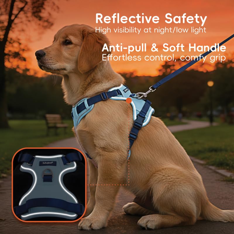 Reflective No Pull Dog Harness & Leash Set