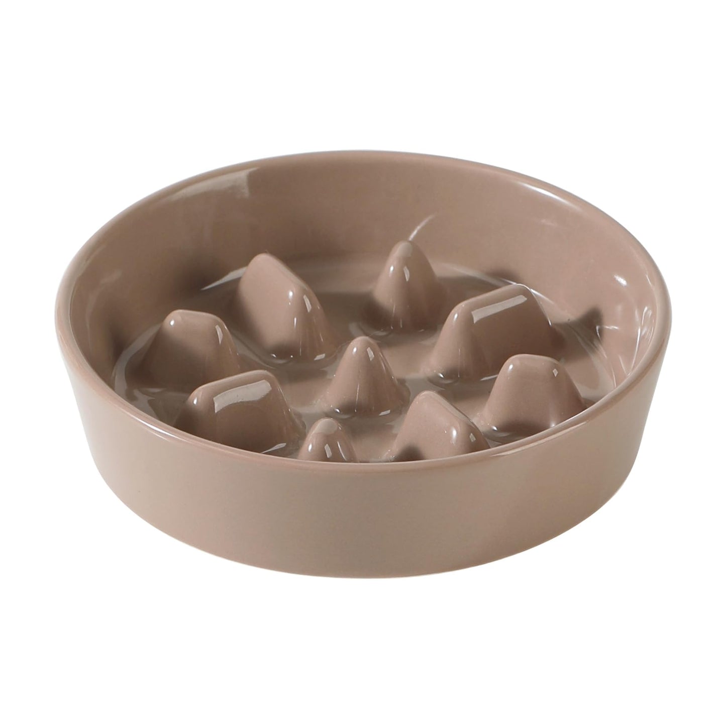 Ceramic Slow Feeder Bowl for Dogs & Cats
