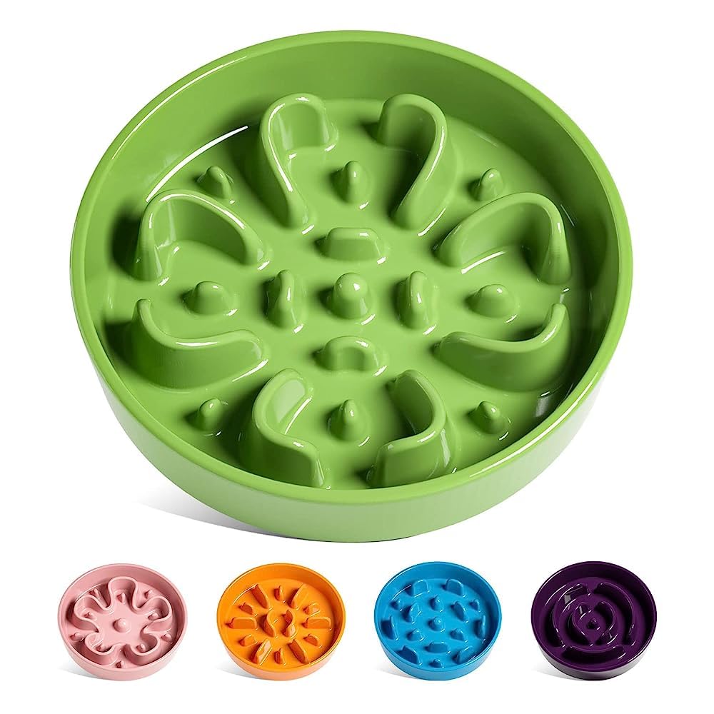 Ceramic Slow Feeder Bowl for Dogs & Small Pets