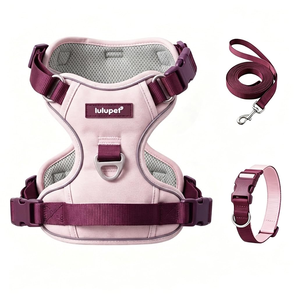 Reflective No Pull Dog Harness & Leash Set