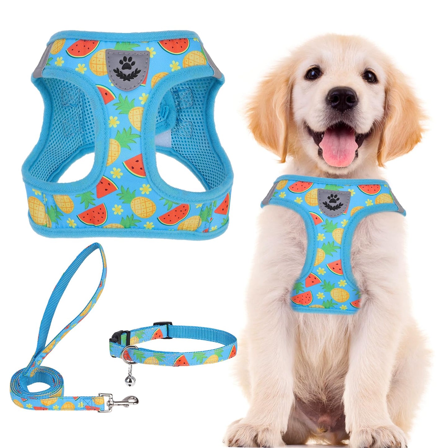No Pull Dog Harness Set with Collar and Leash