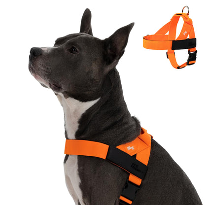 Comfortable No Pull Dog Harness