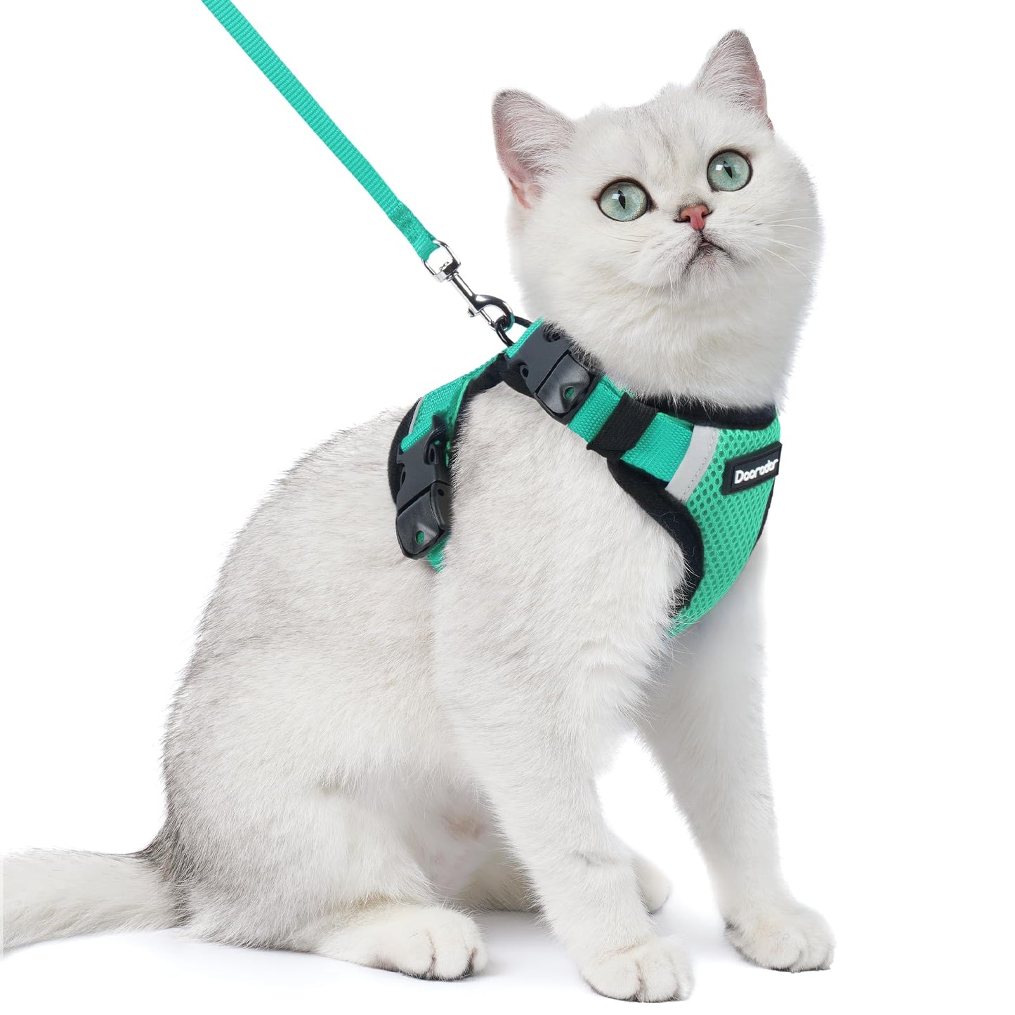 Cat Harness and Leash Set with Quick Release