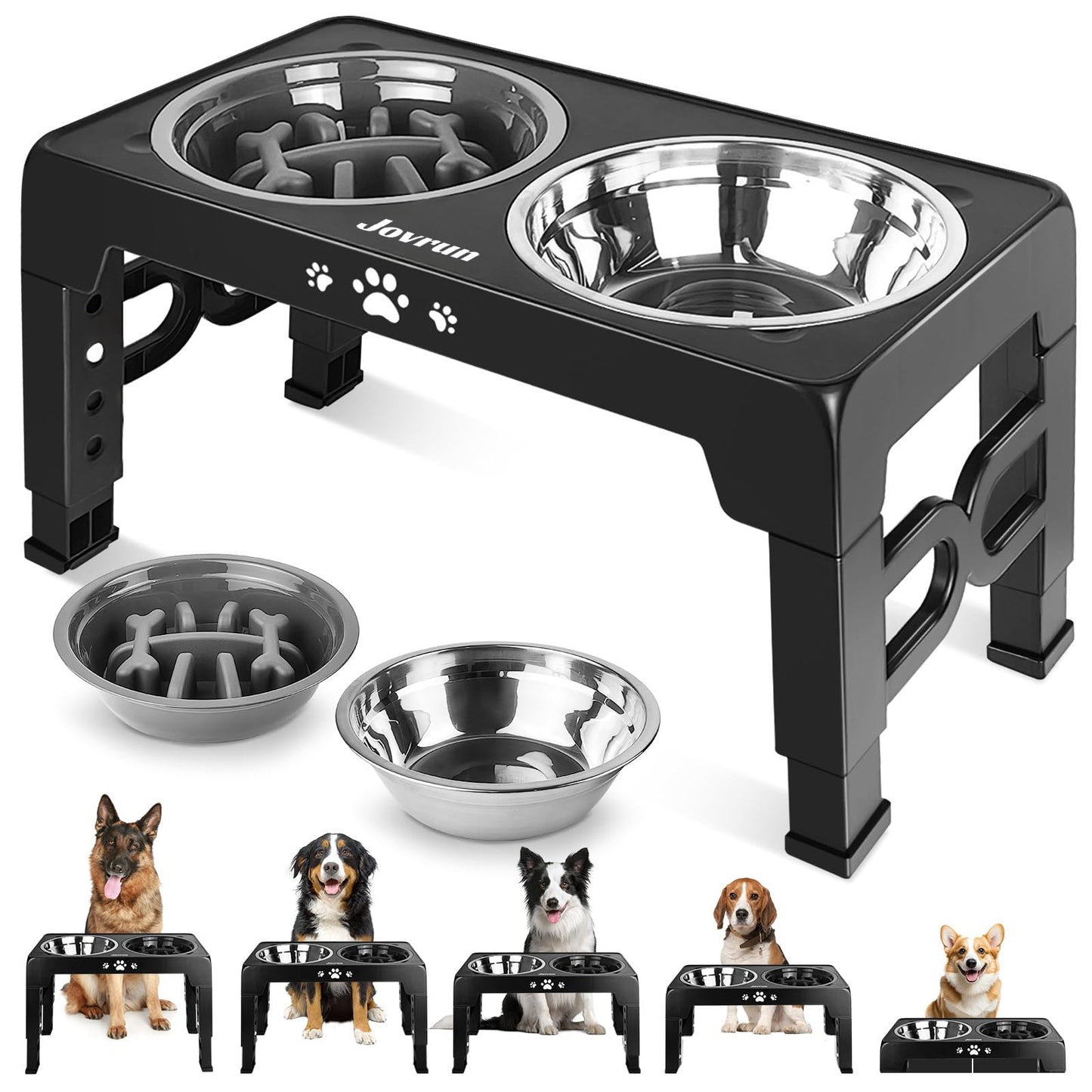 Elevated Adjustable Dog Bowl with Slow Feeder