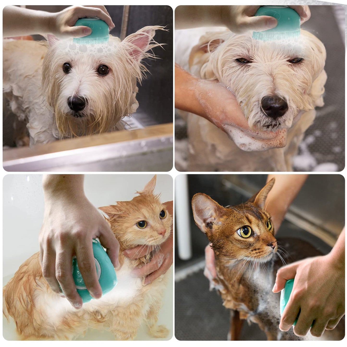 Silicone Pet Bath Brush with Shampoo Dispenser