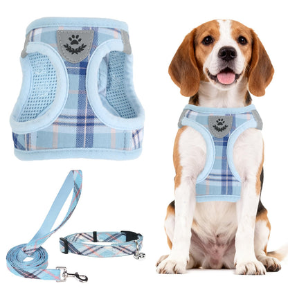 No Pull Dog Harness Set with Collar and Leash