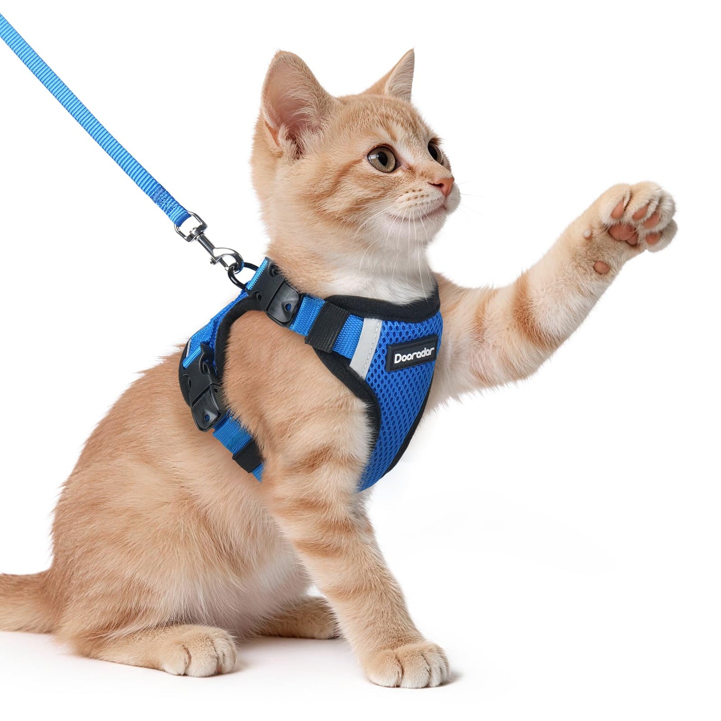 Cat Harness and Leash Set with Quick Release