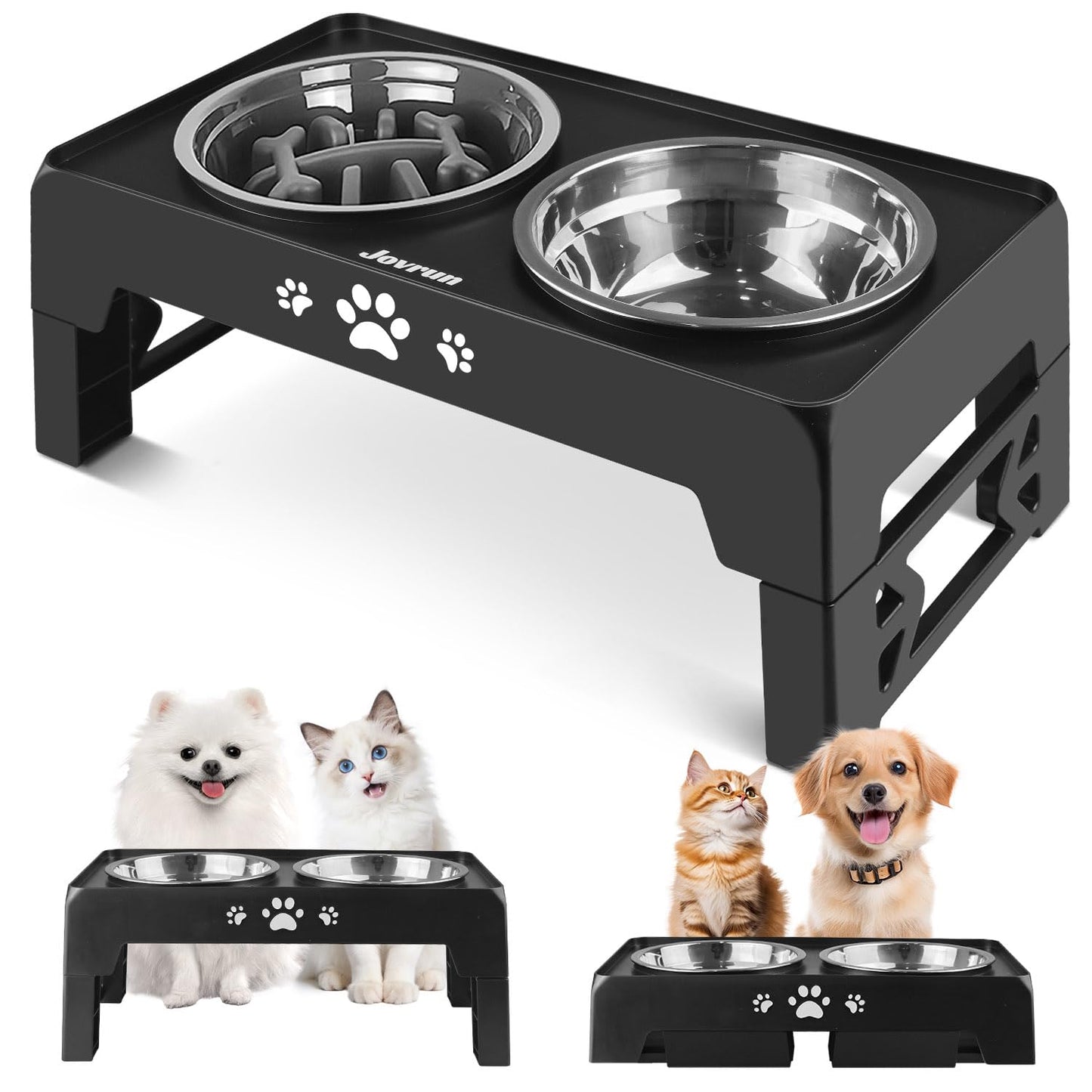 Elevated Adjustable Dog Bowl with Slow Feeder
