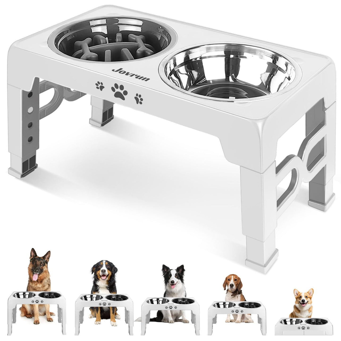 Elevated Adjustable Dog Bowl with Slow Feeder