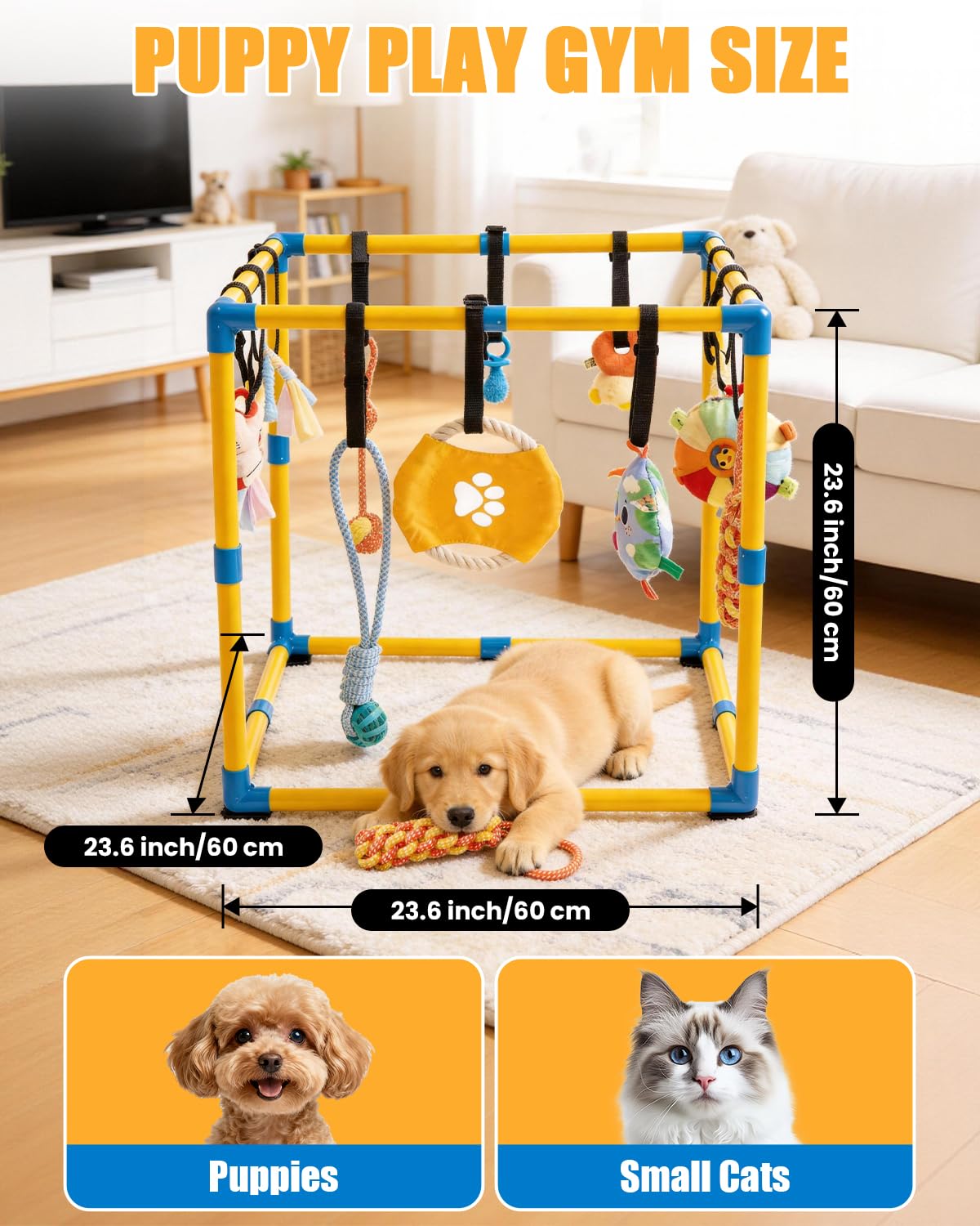 Indoor Pet Play Gym with Hanging Activity Toys