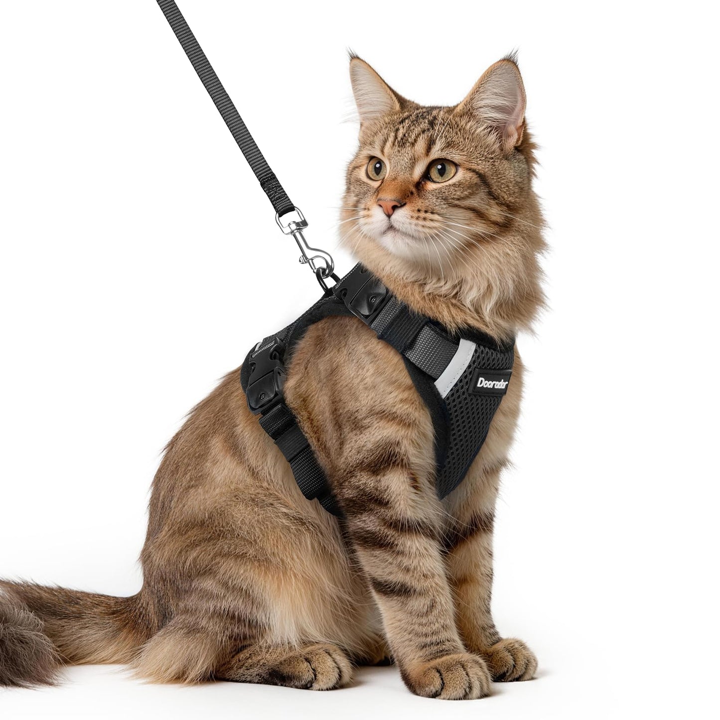 Cat Harness and Leash Set with Quick Release