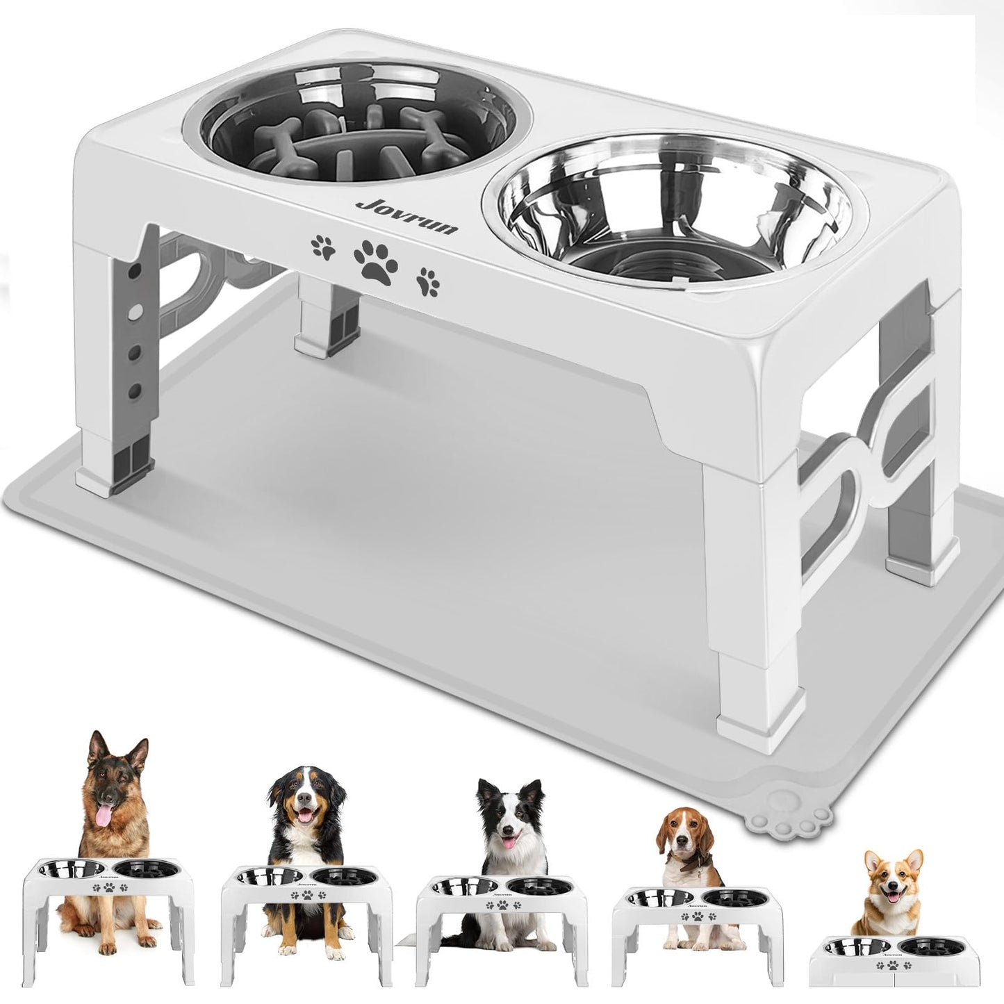 Elevated Adjustable Dog Bowl with Slow Feeder