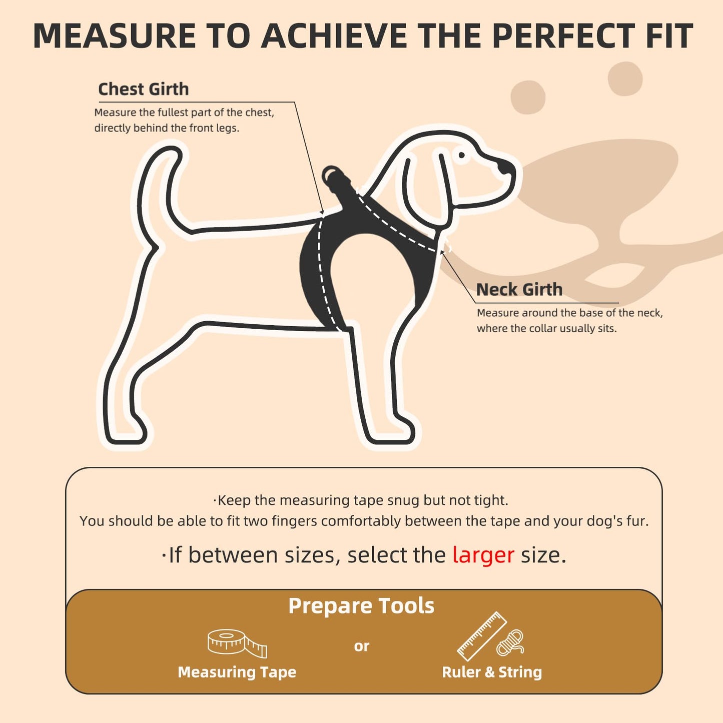 No Pull Dog Harness Set with Collar and Leash