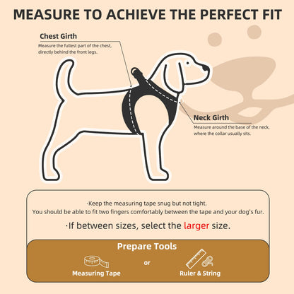 No Pull Dog Harness Set with Collar and Leash