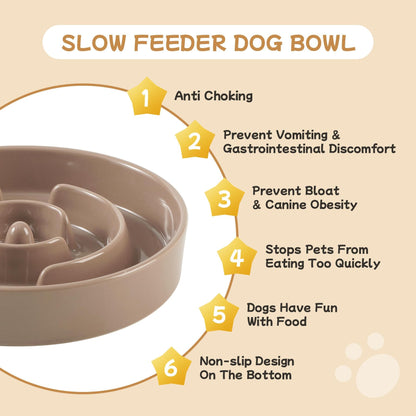 Ceramic Slow Feeder Bowl for Dogs & Cats
