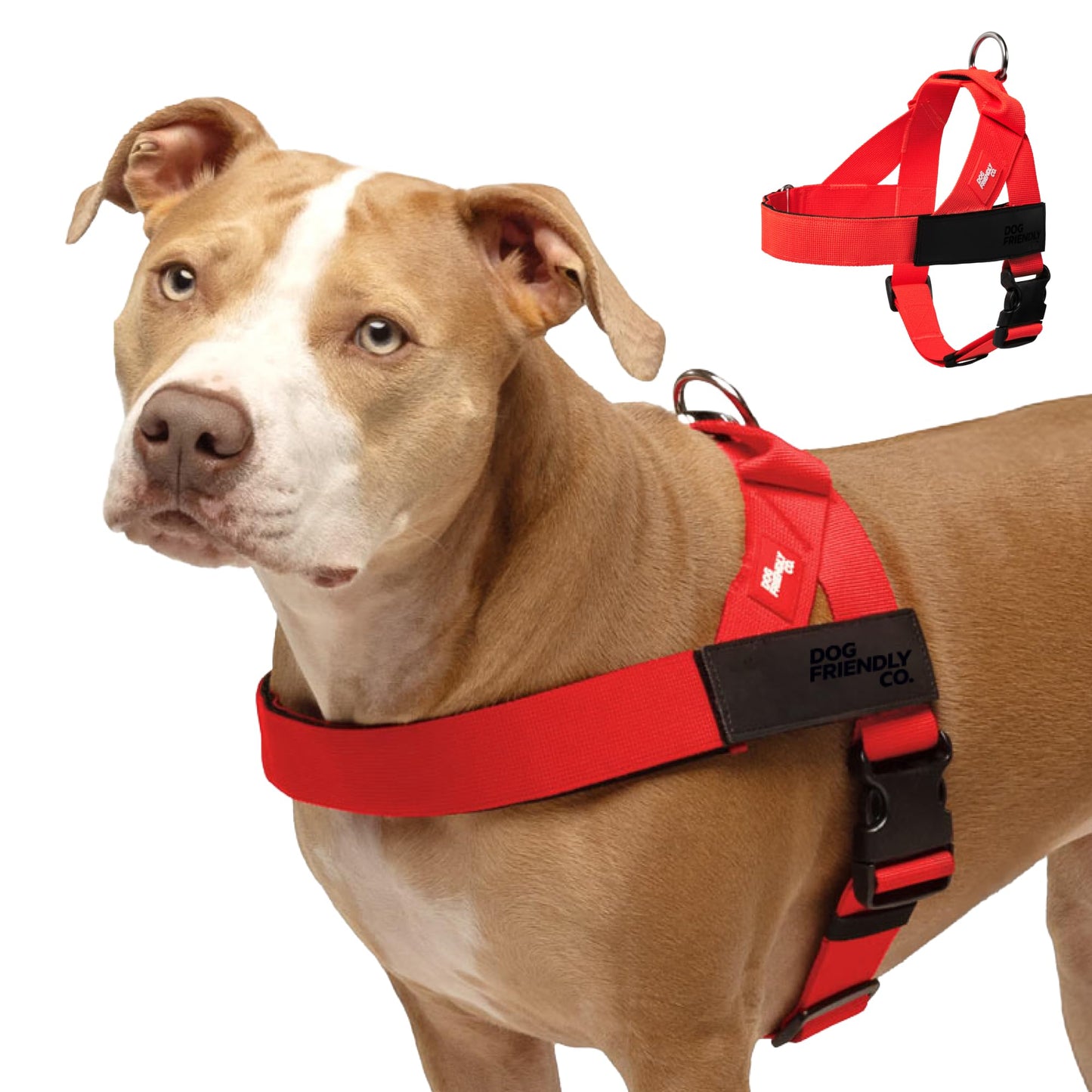 Comfortable No Pull Dog Harness