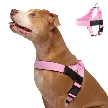 Comfortable No Pull Dog Harness