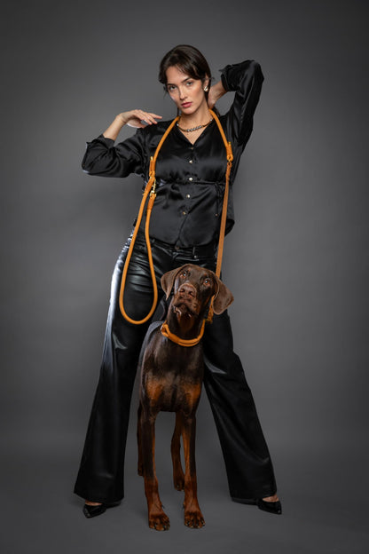 Hands Free Leather Dog Leash for Walking & Training