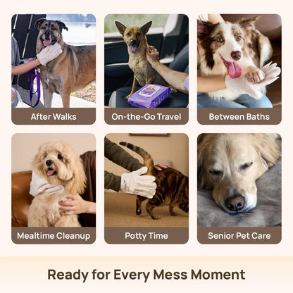 Pet Grooming Glove Wipes for Cleaning & Freshening