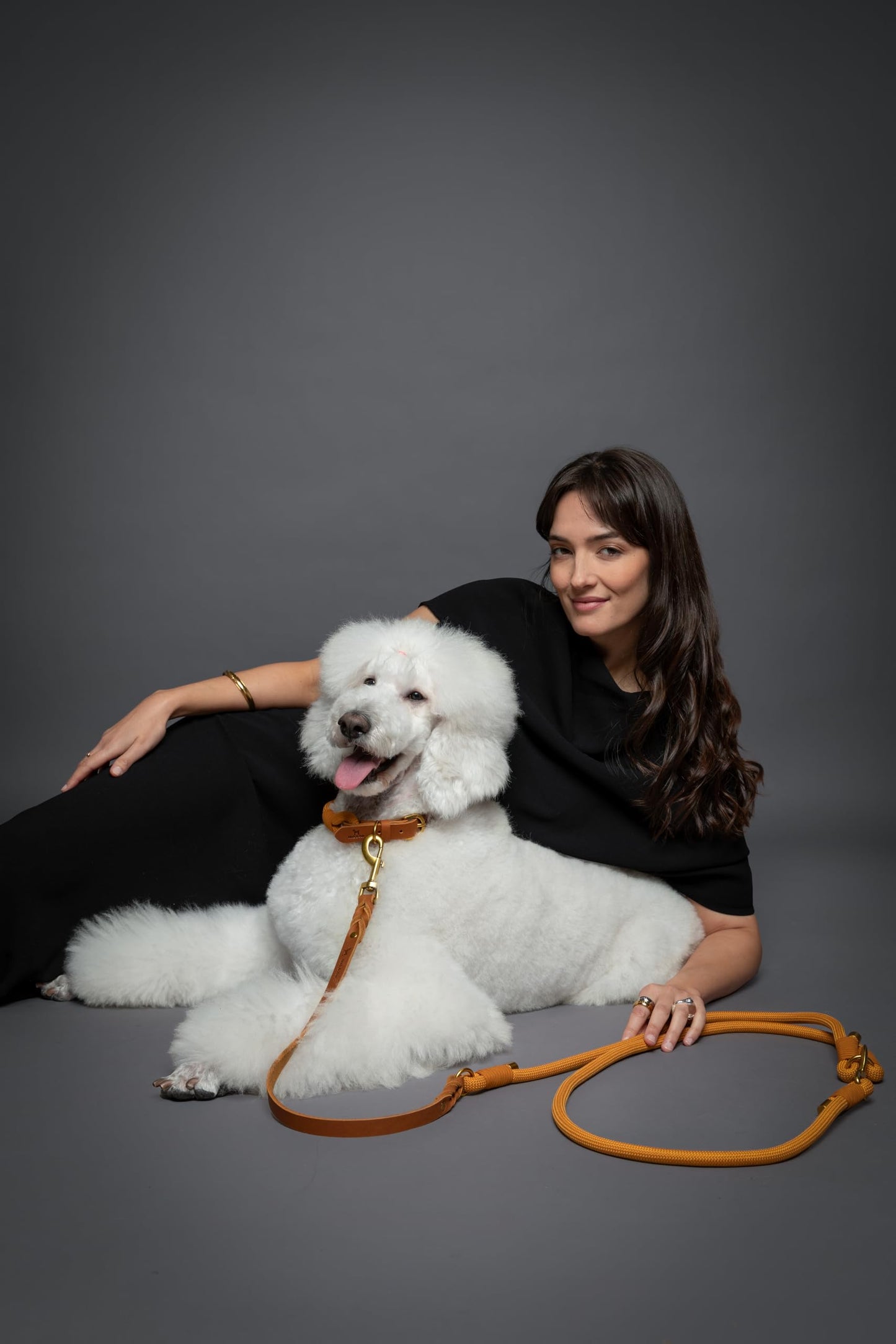 Hands Free Leather Dog Leash for Walking & Training