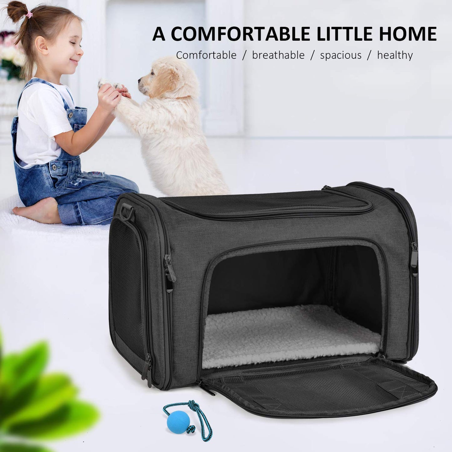 Soft Sided Pet Carrier for Cats & Small Dogs