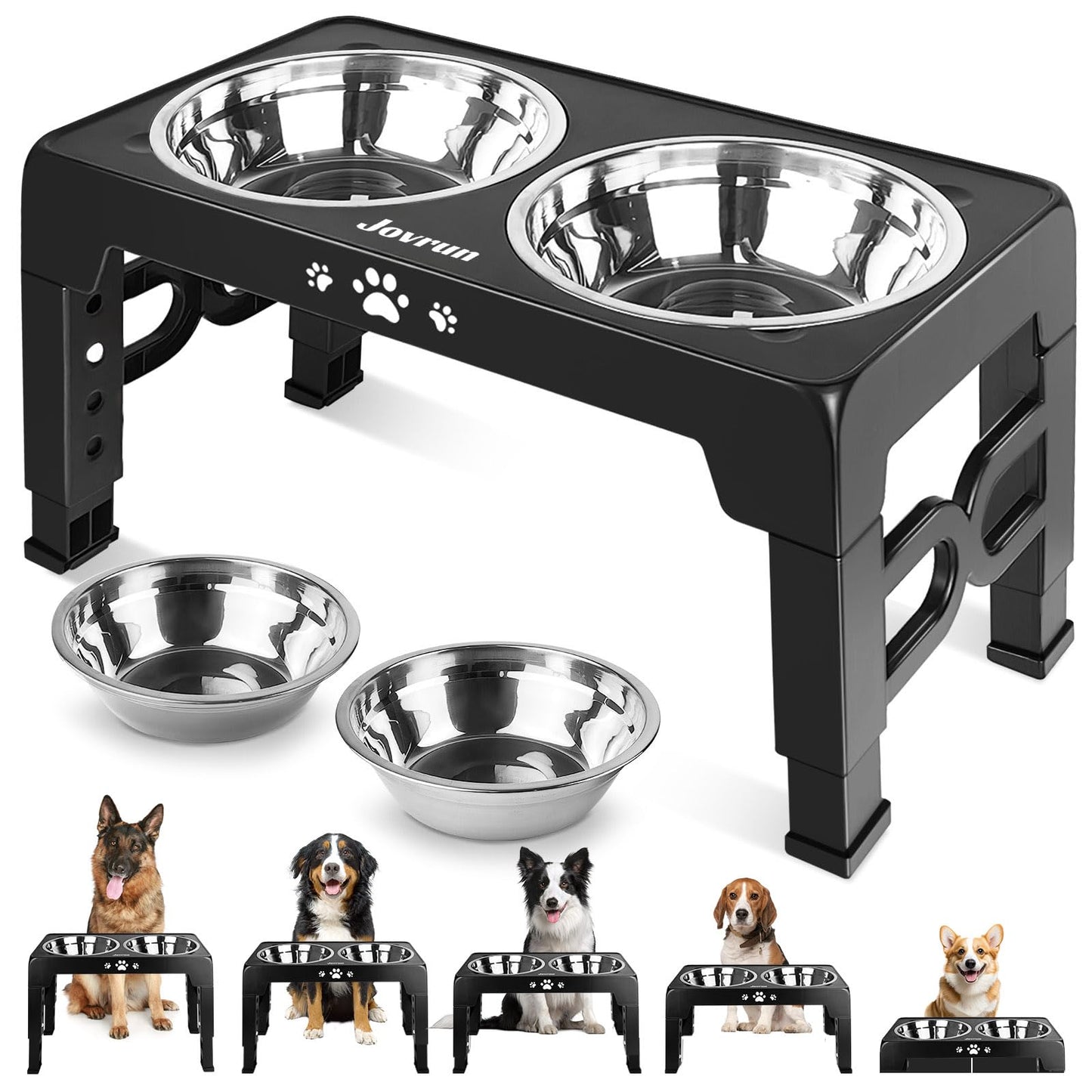 Elevated Adjustable Dog Bowl with Slow Feeder
