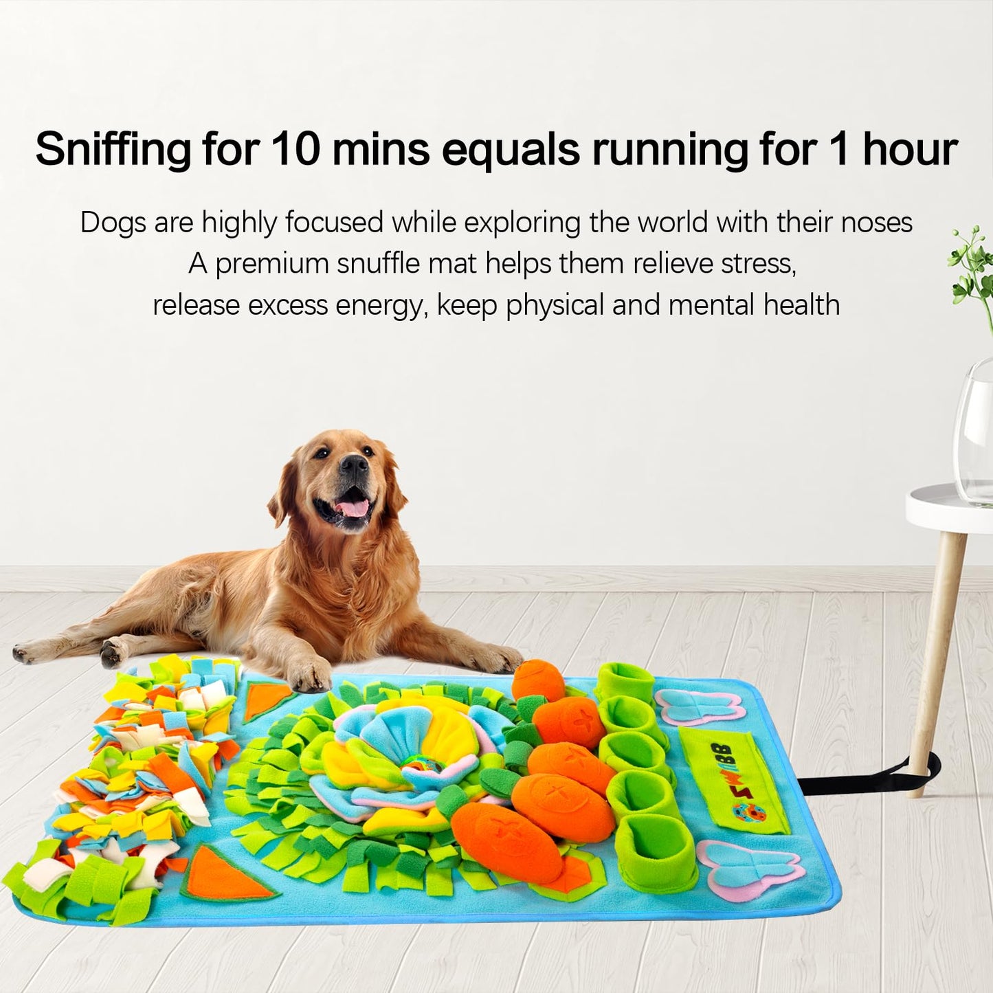 Interactive Snuffle Mat for Dogs and Foraging Fun