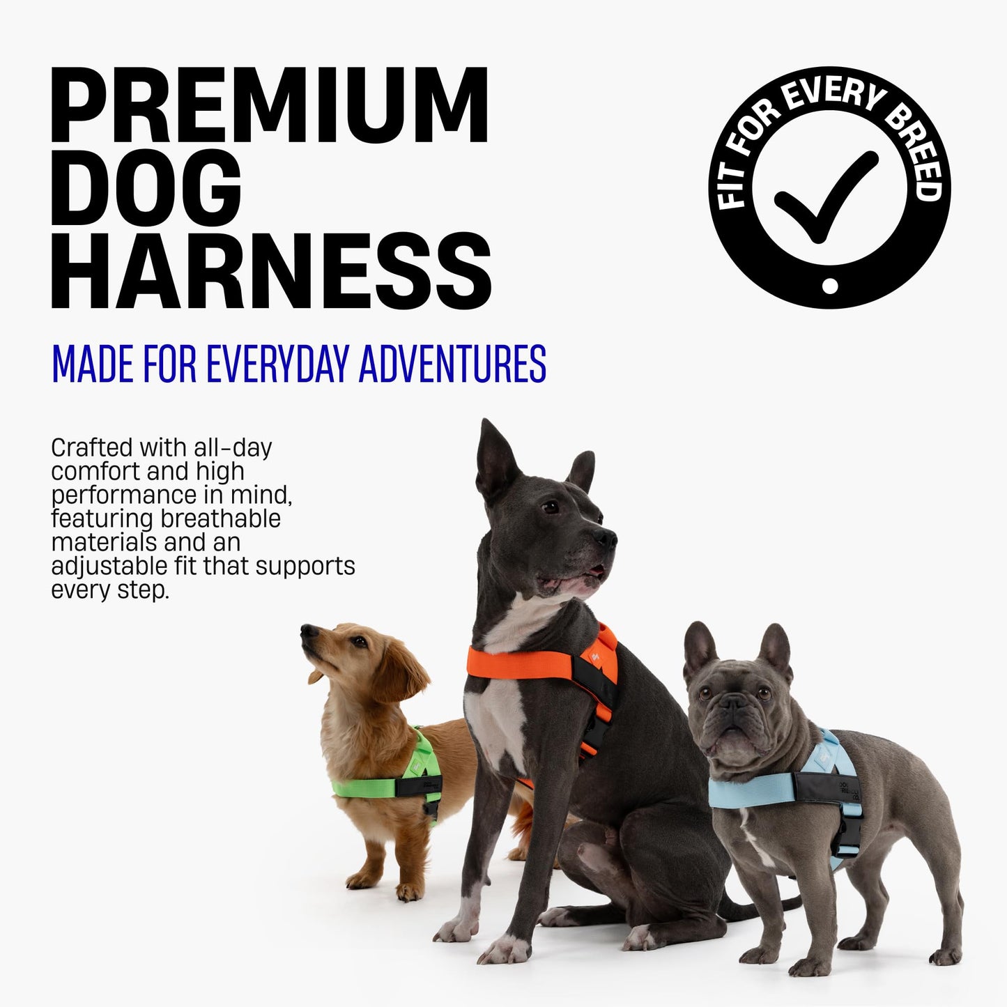 Comfortable No Pull Dog Harness