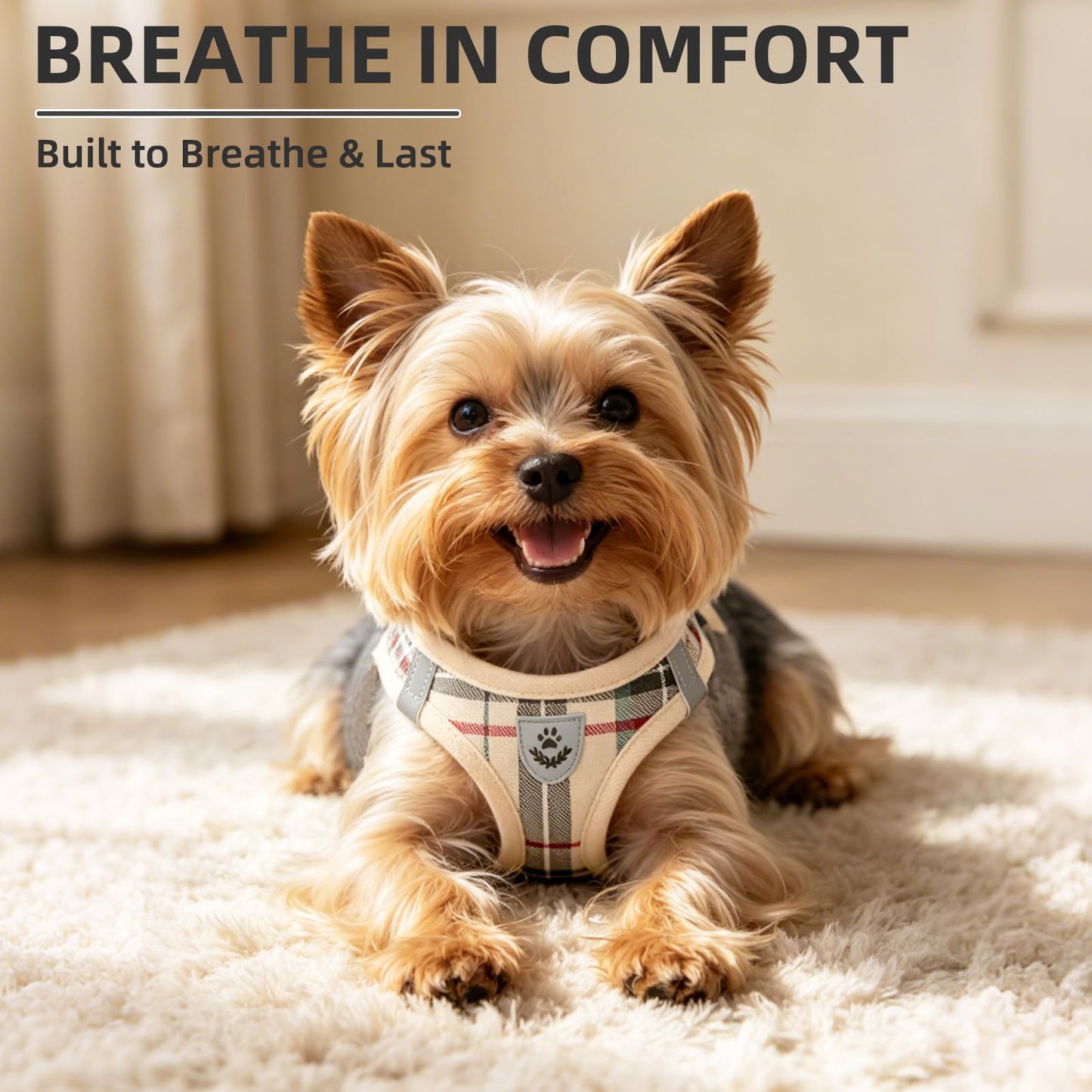 No Pull Dog Harness Set with Collar and Leash