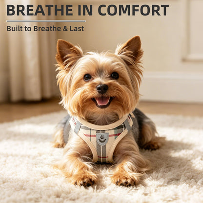 No Pull Dog Harness Set with Collar and Leash