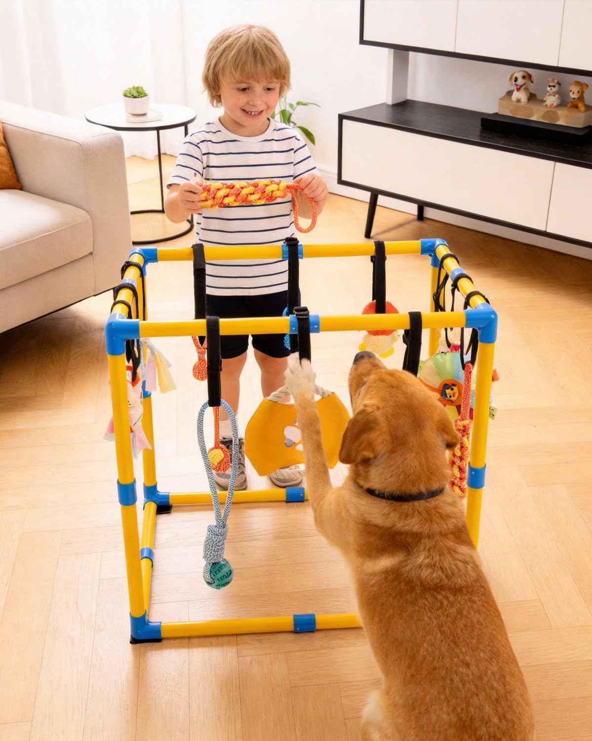 Indoor Pet Play Gym with Hanging Activity Toys