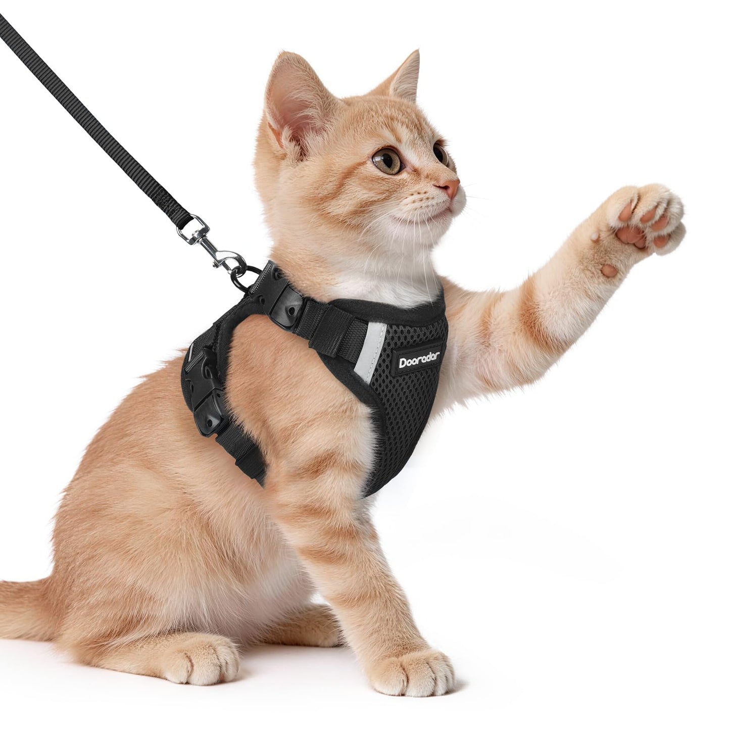 Cat Harness and Leash Set with Quick Release