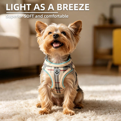 No Pull Dog Harness Set with Collar and Leash
