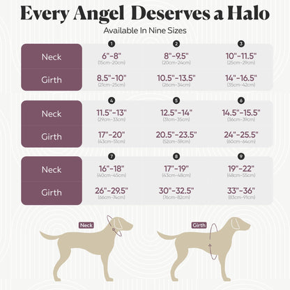 Blind Dog Halo Harness for Safe Walking Support