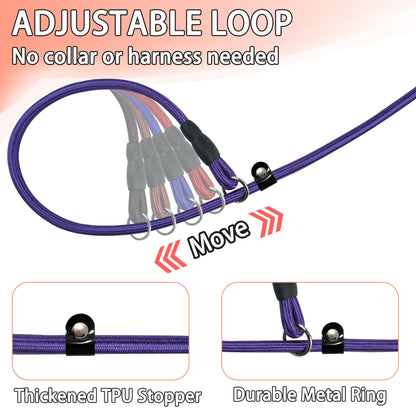 FOVRLZSE Bulk Nylon Dog Slip Leashes