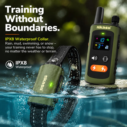 Remote Training Collar for Dogs of All Sizes