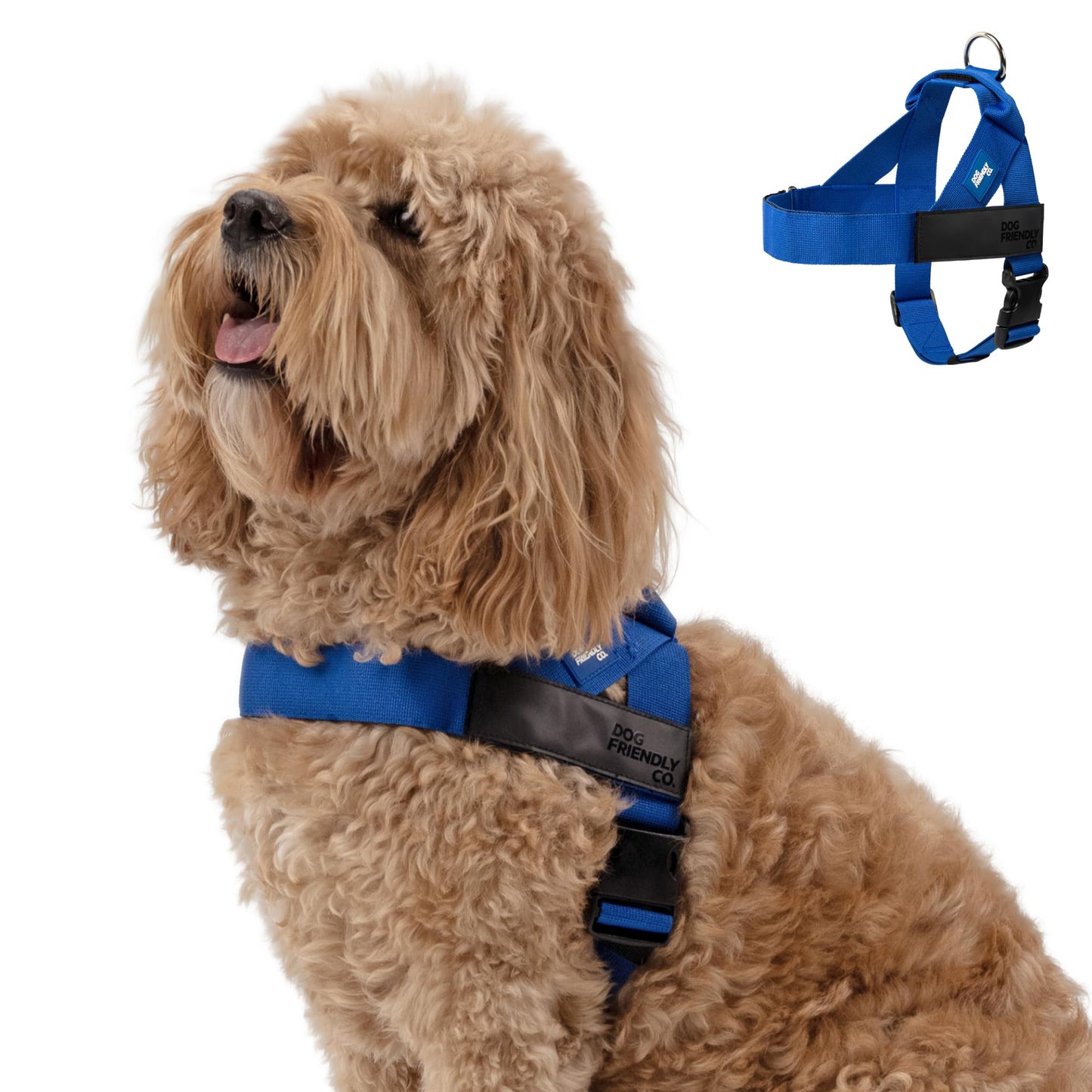 Comfortable No Pull Dog Harness