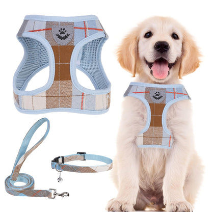 No Pull Dog Harness Set with Collar and Leash