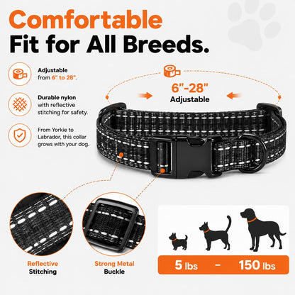 Remote Training Collar for Dogs of All Sizes