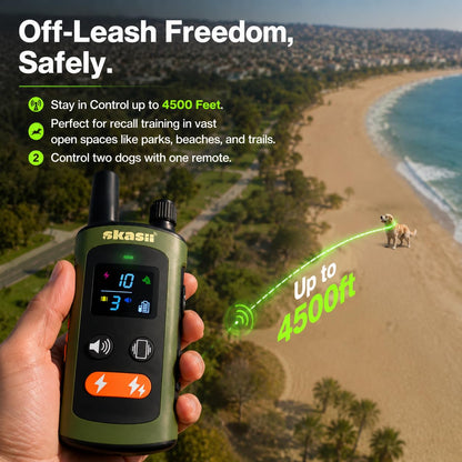 Remote Training Collar for Dogs of All Sizes