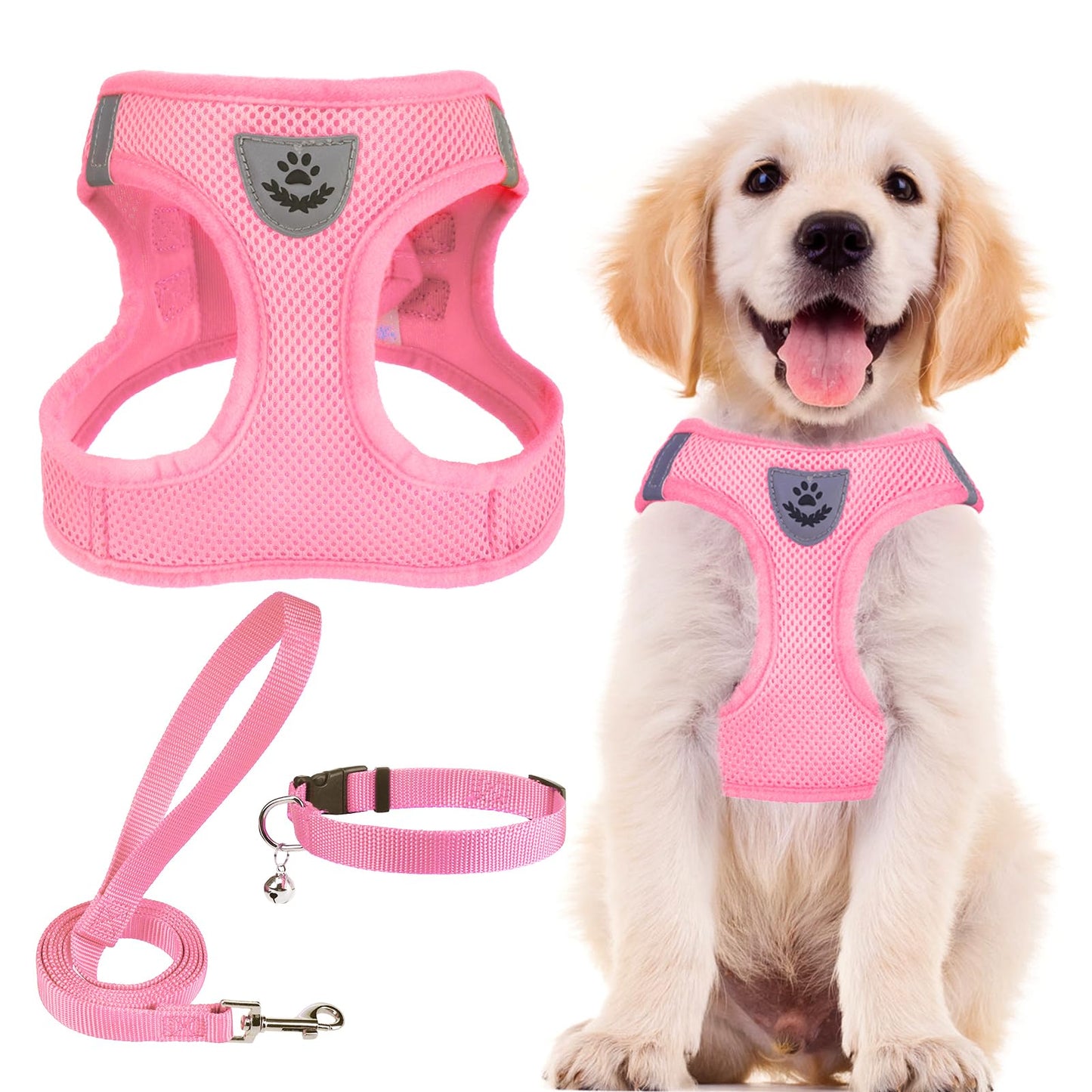 No Pull Dog Harness Set with Collar and Leash