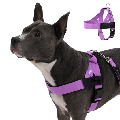 Comfortable No Pull Dog Harness