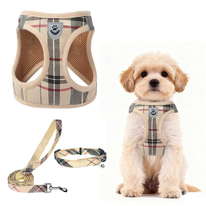 No Pull Dog Harness Set with Collar and Leash